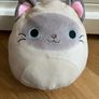 Squishmallow - Felton the Siamese Cat Image 3