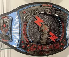 Rare WWE CM Punk custom championship belt
