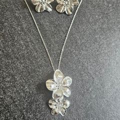 Necklace and Earrings