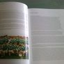 At Last Limerick's long wait is over Ireland Irish Limerick GAA Image 4