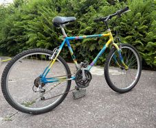 vintage Raleigh Mantis 26" Mountain Bike