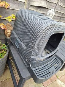 cat litter box