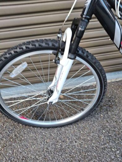 Bicycles ( Lady's Apollo )