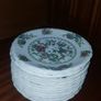 Vintage Crown Ducal Chinese Garden Dinner Set Image 8