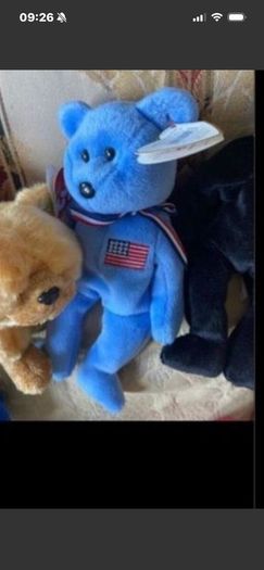 Vintage Beanie Babies Collector's Pieces