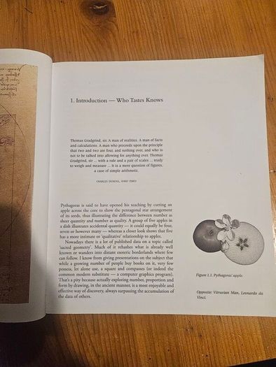 Patterns Of Eternity. Sacred Geometry And The Starcut. By Malcolm Stewart.  First Edition Large Volume Paperback In Good Condition.  See Photos For Same.
