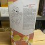 NEW Belle Animator Doll Disney Image 3