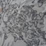 Ladies Top for Sale Image 4