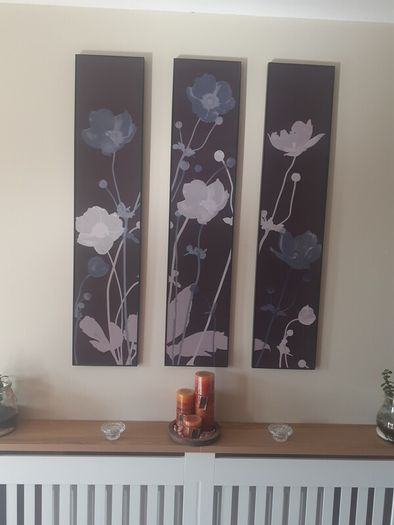 Pictures/Three Canvas Prints .. Price Drop