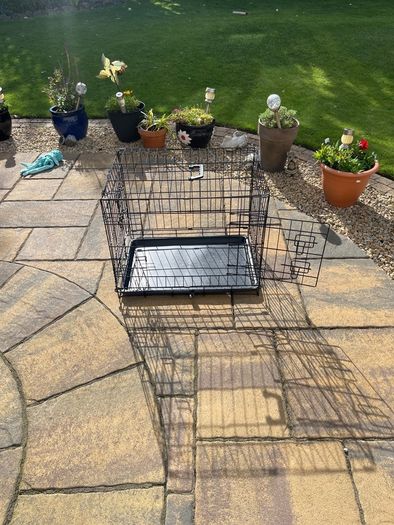 dog crate small