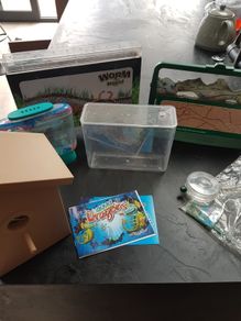 Spider World Ant World Worm World Bird Viewer Aqua Dragons