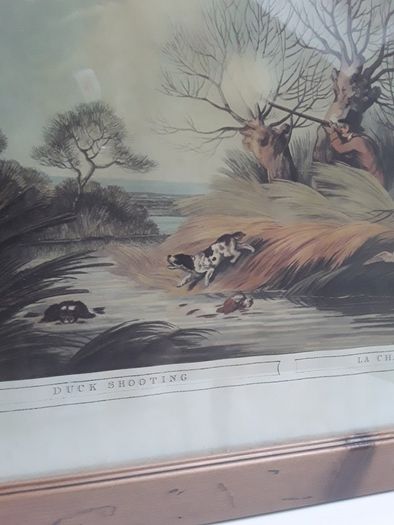 Hunting prints