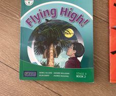 flying high rainbow 6th class