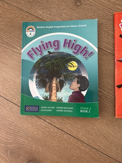 flying high rainbow 6th class