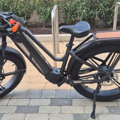 Electric bike 110km range