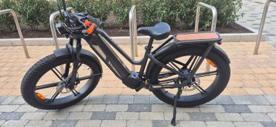 Electric bike 110km range