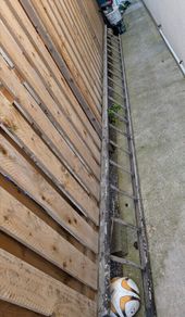 Ladder