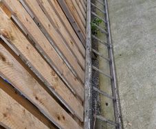 Ladder
