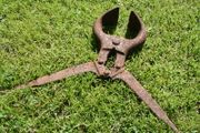 Vintage Bull Castration Pliers