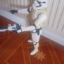 Jakks 2015 stormtrooper Image 2