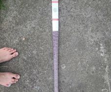 hockey stick