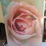 Large Stretched Canvas on Solid Wooden Frame Image 4