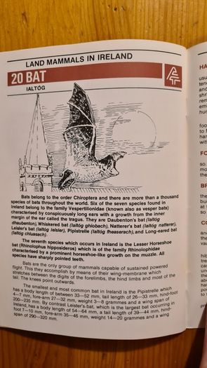 Land Mammals In Ireland. Issued By Forest And Wildlife Service. Leesonane Dublin. Booklet.1986.