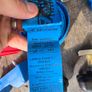 jet ski boat trailer parts Image 2