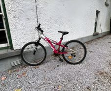 Kawasaki Bike