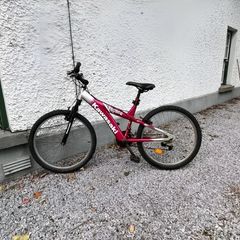 Kawasaki Bike