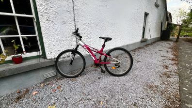 Kawasaki Bike