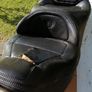Honda Golding gl1500 Image 2