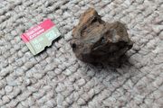 Meteorite Sericho pallasite 12.20g