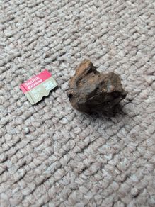 Meteorite Sericho pallasite 12.20g
