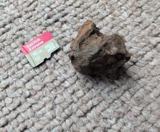 Meteorite Sericho pallasite 12.20g