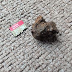 Meteorite Sericho pallasite 12.20g