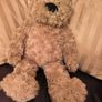 Teddy Bear. Image 2