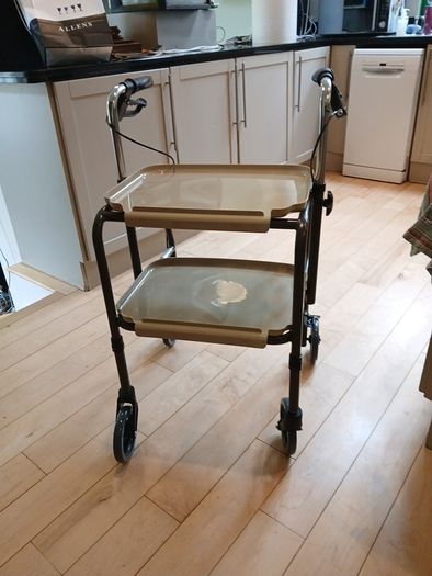 Indoor Walking Frame with wheels and Trays
