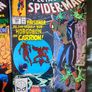 Spectacular Spider-Man Image 2