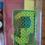 Dwarf hamster starter kit Image 5