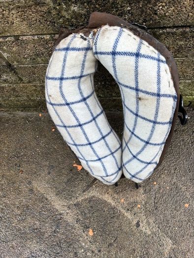 Donkeys collar