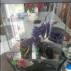 Fish tank