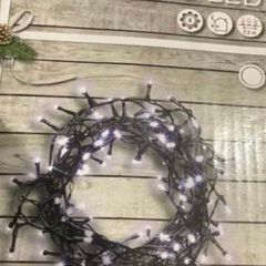 100 Led Christmas Lights
