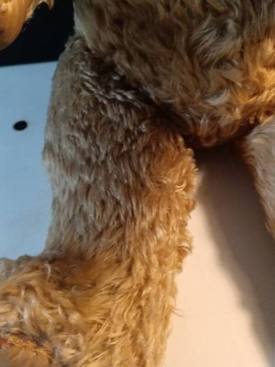 25" 1930's Fully Articulated Mohair Teddy Bear