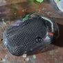 Honda Valkyrie 1500 smoked taillight lens Image 3