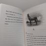 Sarah Lean Story Books Image 9