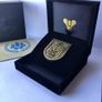 Destiny 2 - Almighty seal pin. Rare and Retired Image 2