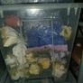 job lot artificial flowers Image 5