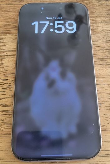 iPhone 16 Pro