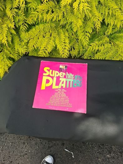 The platters vinyl lp